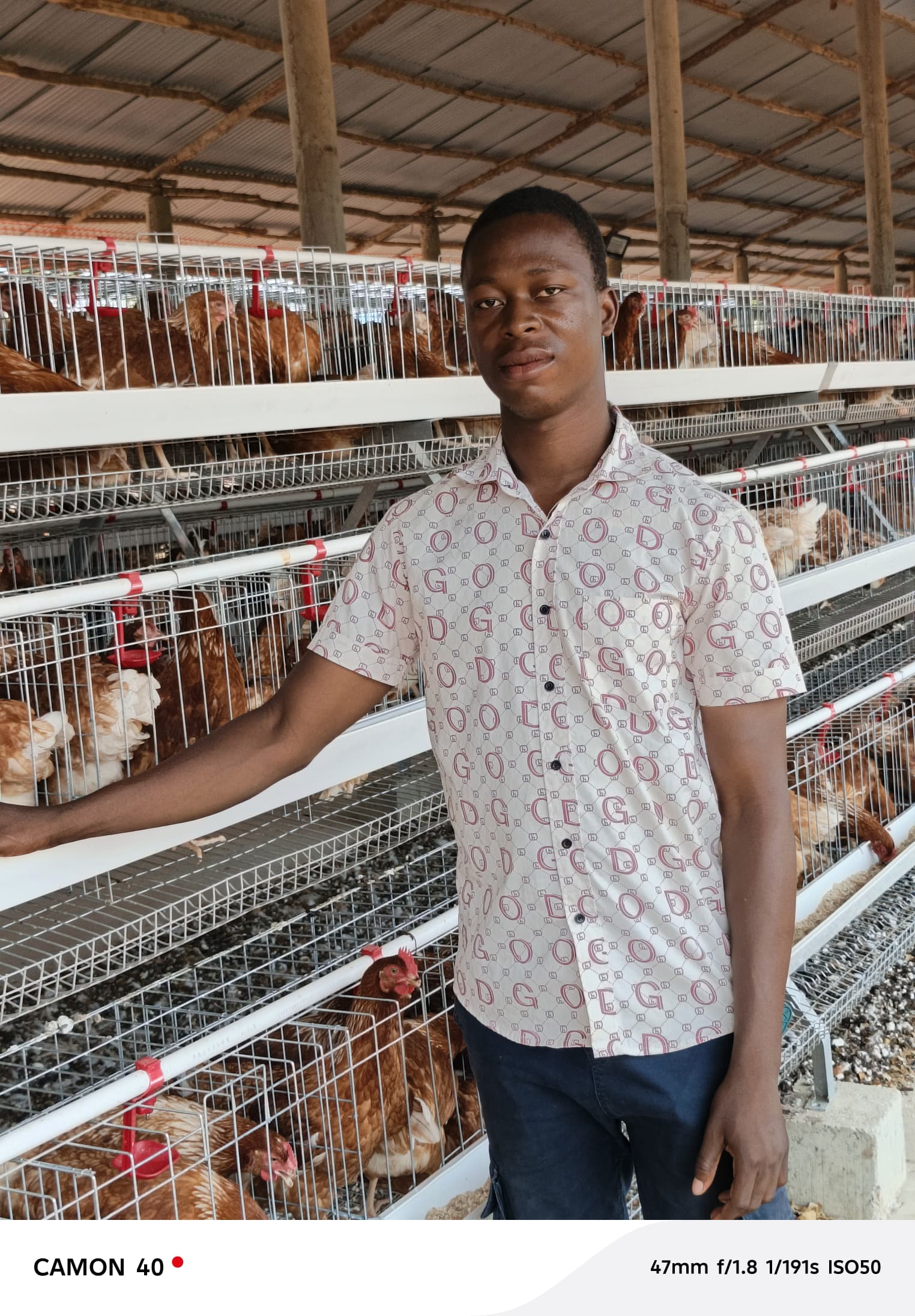 Natural poultry farming in Benin