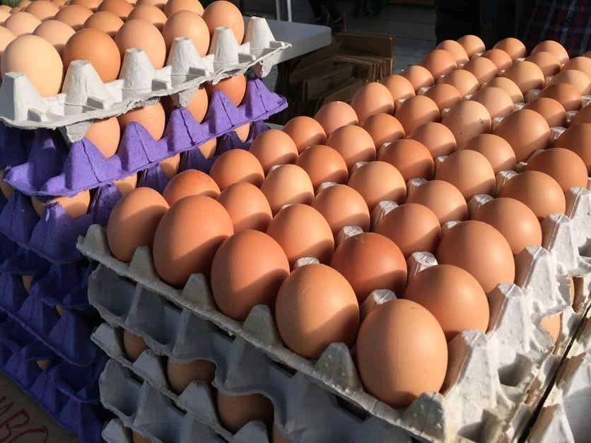 Organic Eggs — ECO POULTRY FARM